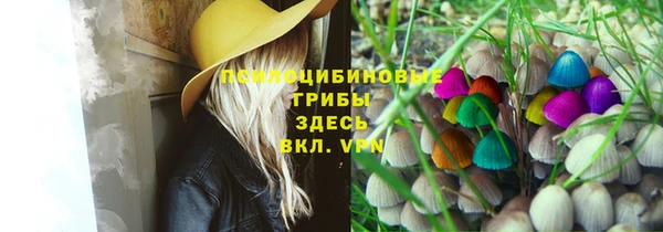 наркотики Алексин