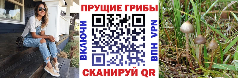 купить закладку  Константиновск  Галлюциногенные грибы ЛСД 
